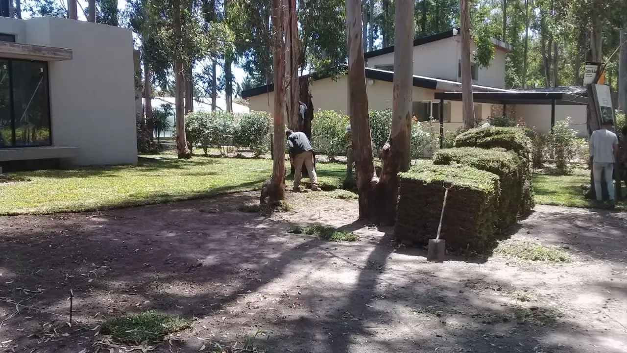 Césped en panes